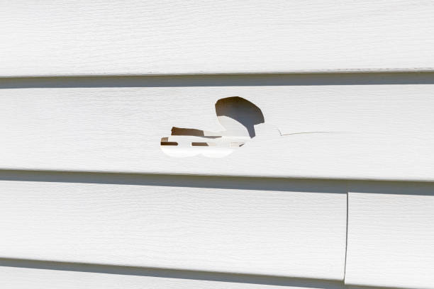 Best Construction Debris Removal  in Adamstown, PA