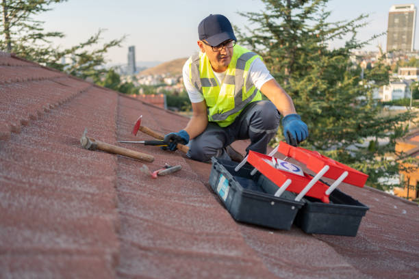 Best Shed Removal  in Adamstown, PA